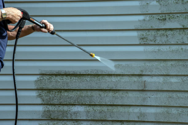 Trusted Woodruff, SC Pressure Washing Services Experts